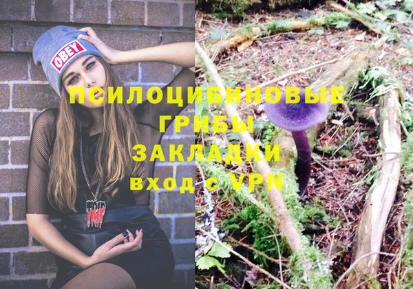 крисы Аркадак