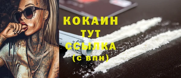 крисы Аркадак