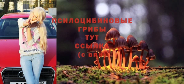 прущая мука Арсеньев